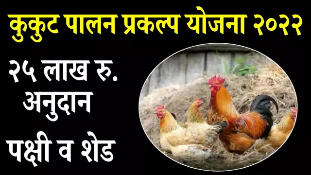 Poultry Farming Subsidy 2022