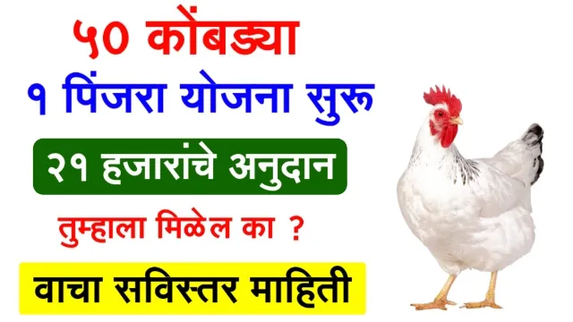 Poultry Farming Business Plan